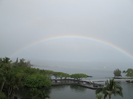 tropical-rainbow