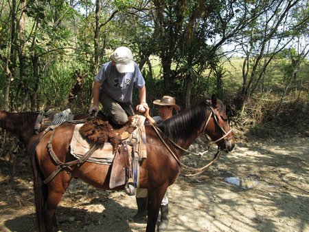 horse-riding-ecuador-podocarpus-national-park