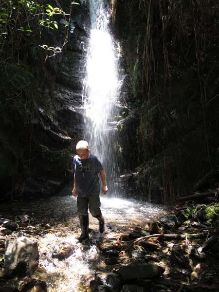 podocarpus-national-park-waterfall