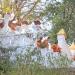luang-prabang-laos-young-monks