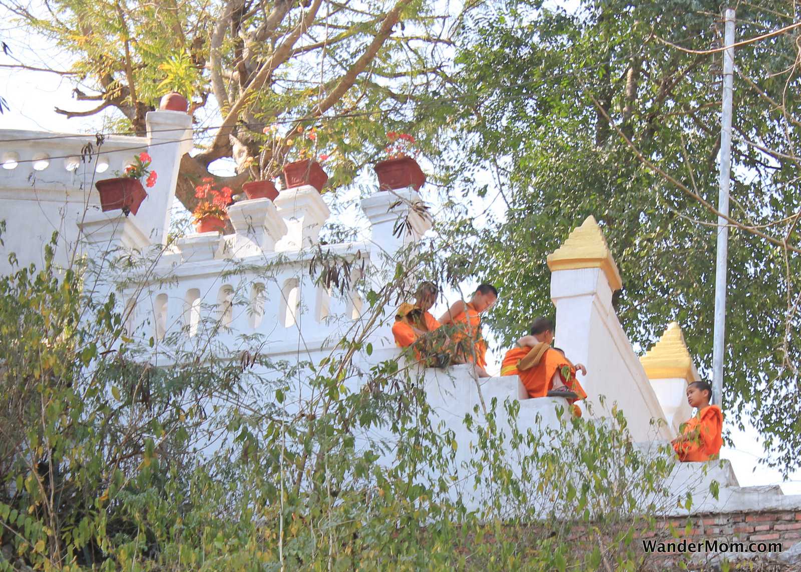 luang-prabang-laos-young-monks